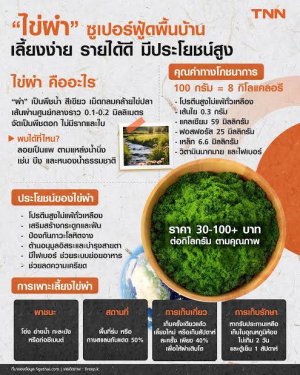 ไข่ผำ