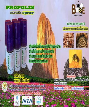 เมาท์สเปรย์ แพ็ค 6 ขวด (ขนาด 8 ml.)